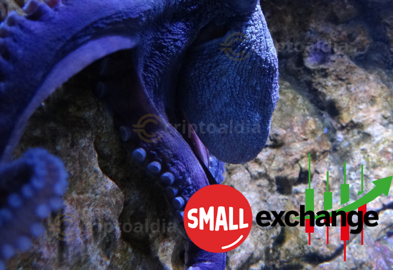 Kraken refuerza su presencia en EE. UU. con la adquisición de Small Exchange por $100 millones