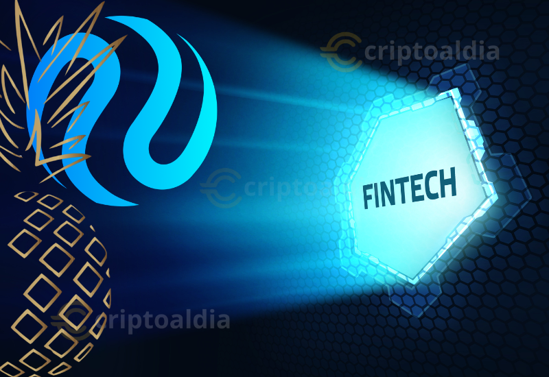 Pineapple Financial fortalece su tesorería con una inversión estratégica de $100 millones en tokens $INJ