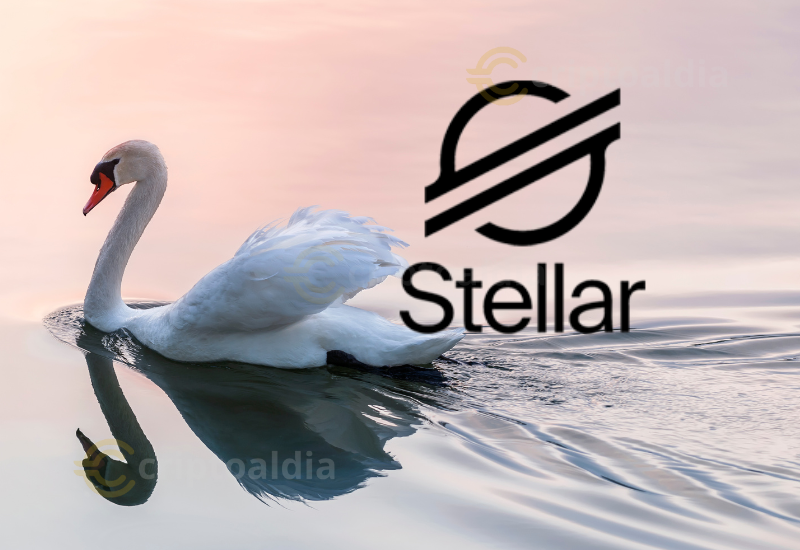 RedSwan impulsa la tokenización inmobiliaria con $100 millones en activos en la red Stellar