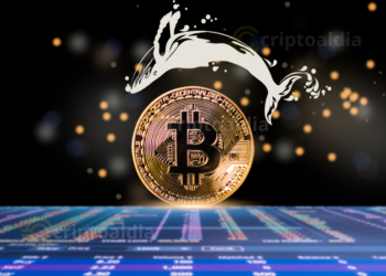 Bitcoin enfrenta ajustes mientras las ballenas recogen ganancias graduales