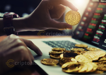 Bitcoin cae mientras las ballenas intensifican su acumulación