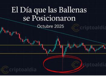 El Día que las Ballenas se Posicionaron: 10 de Octubre de 2025, el Inicio Silencioso de la Próxima Altseason