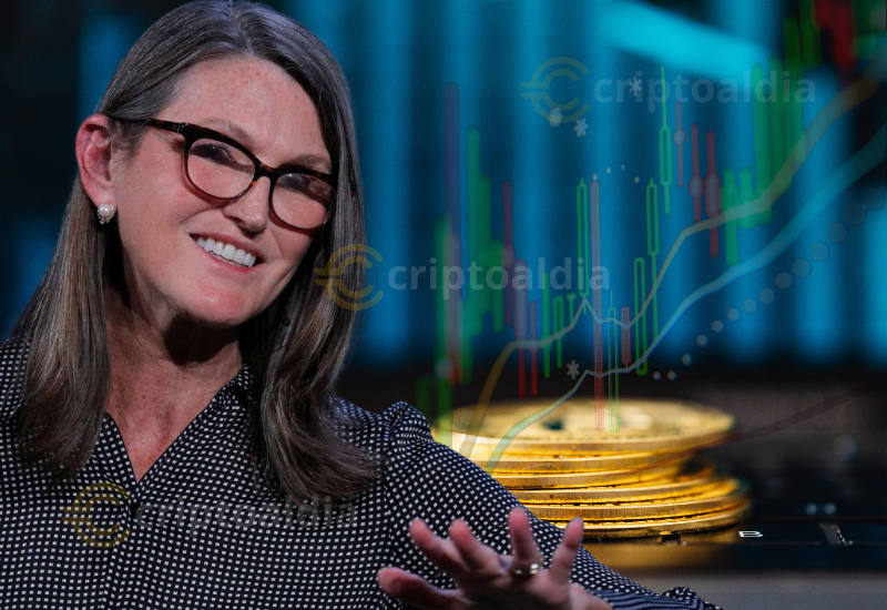 Inversión institucional renueva su fe en acciones cripto a pesar de la tormenta