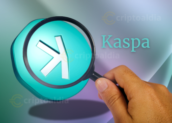 Kaspa registra acumulación de ballenas mientras el precio se mantiene a la baja