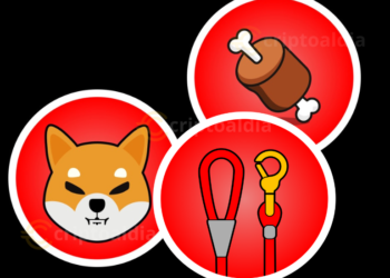 Evolución y riesgos del ecosistema Shiba: análisis de SHIB, BONE y LEASH