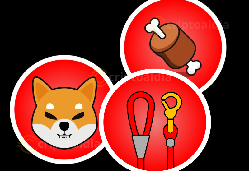 Evolución y riesgos del ecosistema Shiba: análisis de SHIB, BONE y LEASH