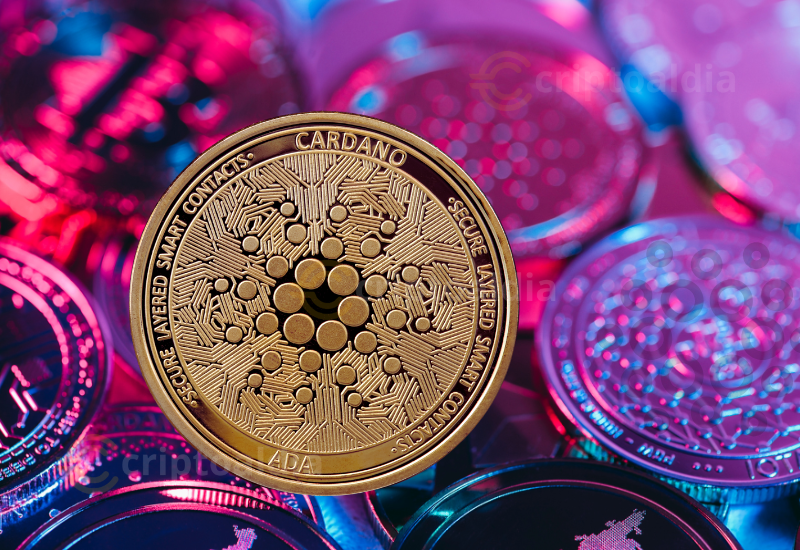 Cardano enfrenta un ciclo de mercado distorsionado mientras busca estabilidad técnica