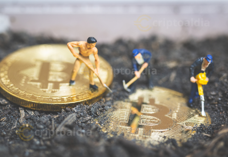 Transformación de la minería de Bitcoin: trece años después del primer halving