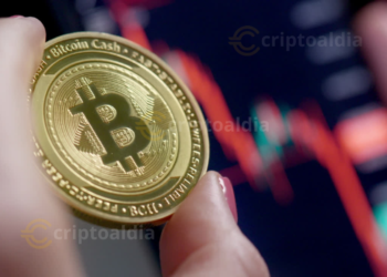 Bitcoin y su transición hacia una infraestructura financiera madura