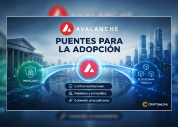Avalanche busca resolver el dilema institucional entre privacidad y blockchain pública
